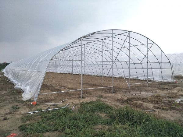 單體拱棚溫室