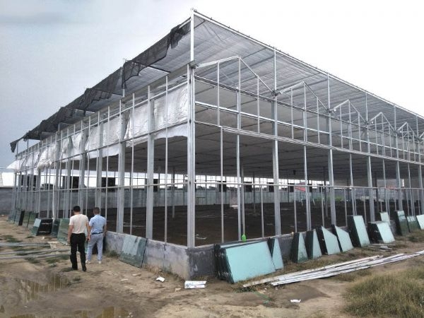 山東濟(jì)南溫室案例